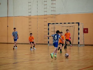 trunir-ekonomska-skola (5)