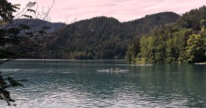vk-karlovac-bled (1)