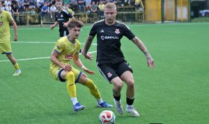 ilovac-vijnic (1)