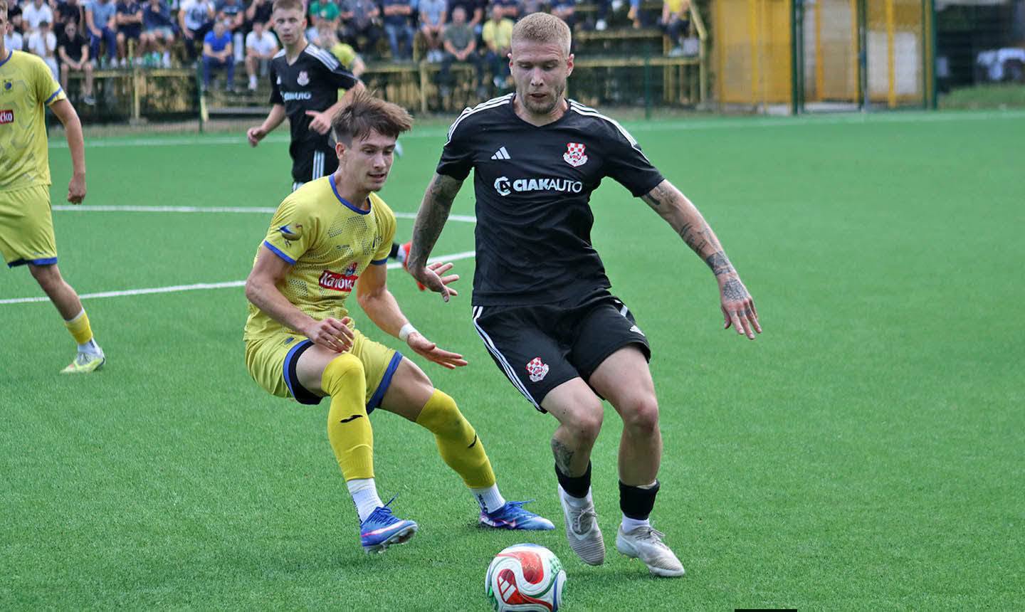 ilovac-vijnic (1)