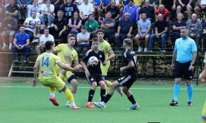 ilovac-vijnic (35)