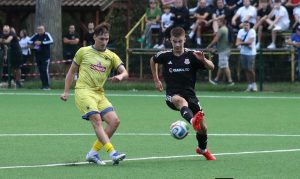 ilovac-vijnic (42)