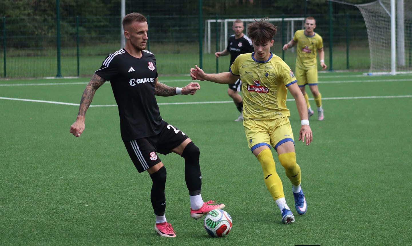 ilovac-vijnic (47)