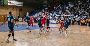 karlovac-metkovic-zalmo (2)